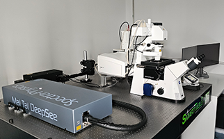 Microscopio Confocal con AiryScan II