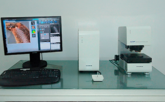 Microscopio Confocal