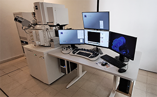 Microscopios de Barrido