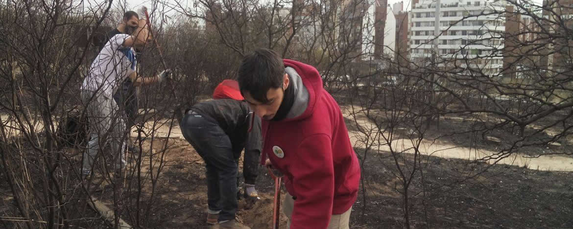 Mitigación incendio Bosque Nativo