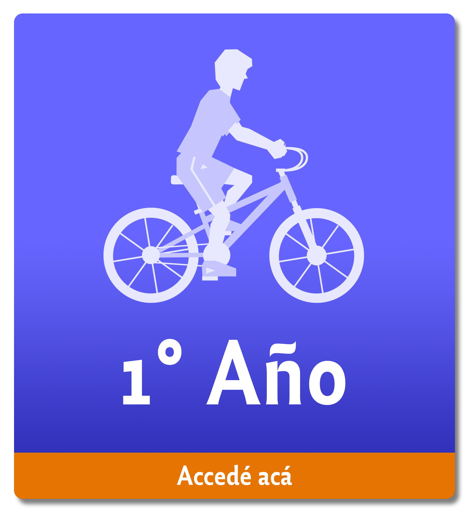 1er Año