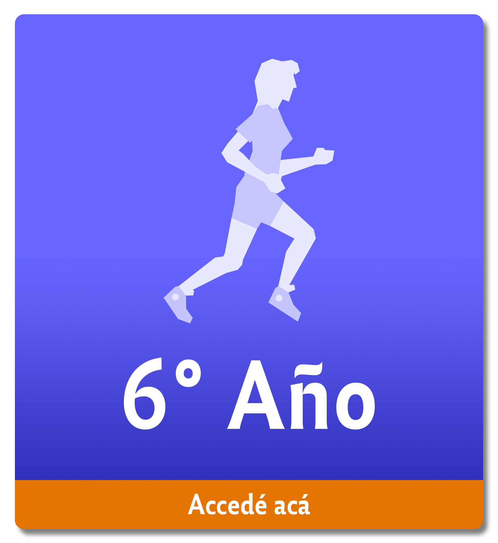6to Año