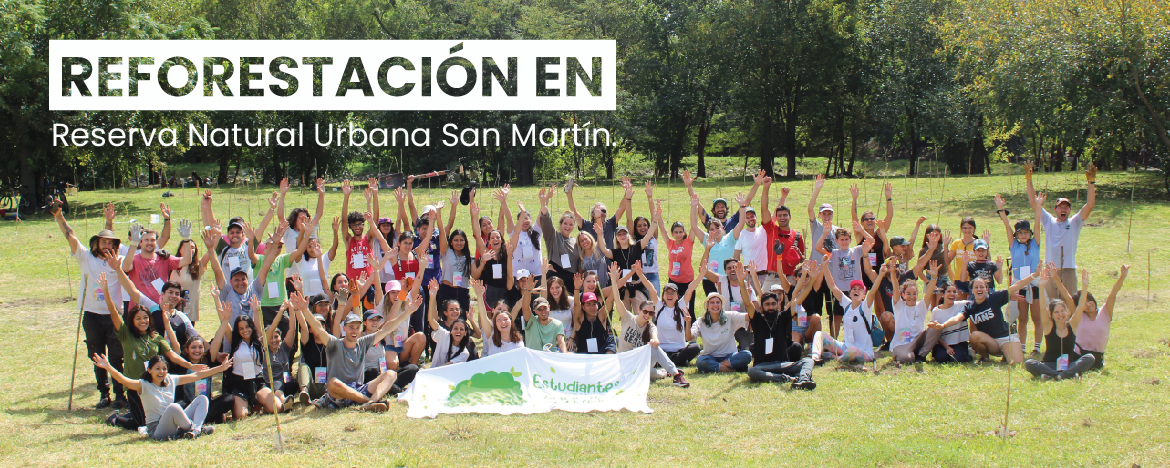 Reforestación Reforestación
