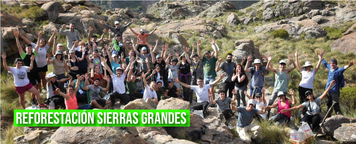 Reforestación Reforestación