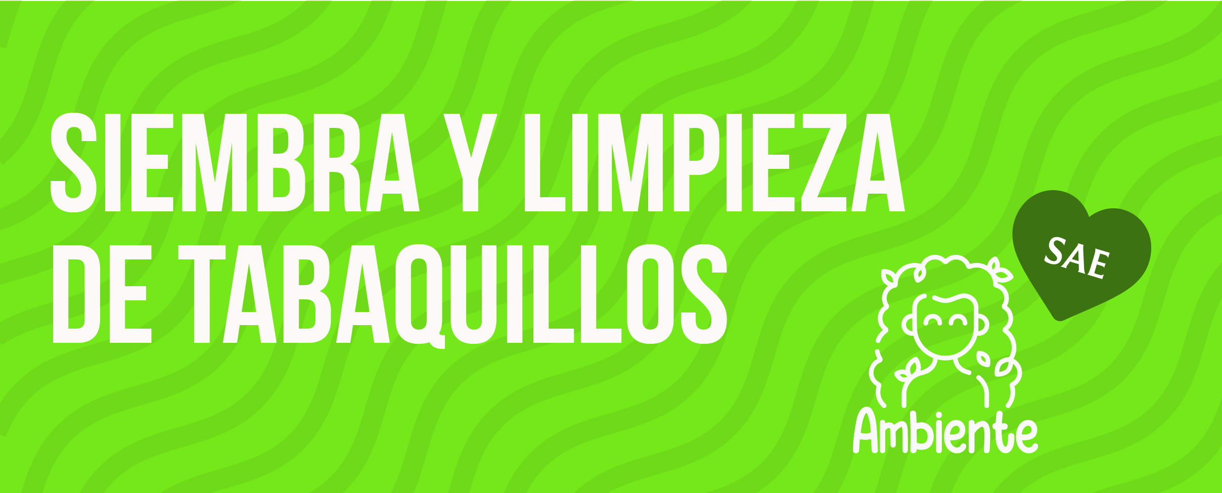 AMBIENTE AMBIENTE