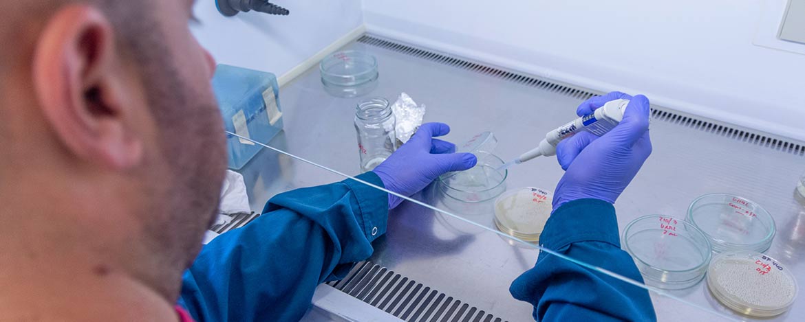 Becas doctorales cofinanciadas entre la UNC y el CONICET