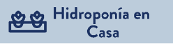 Cultivos hidropónicos